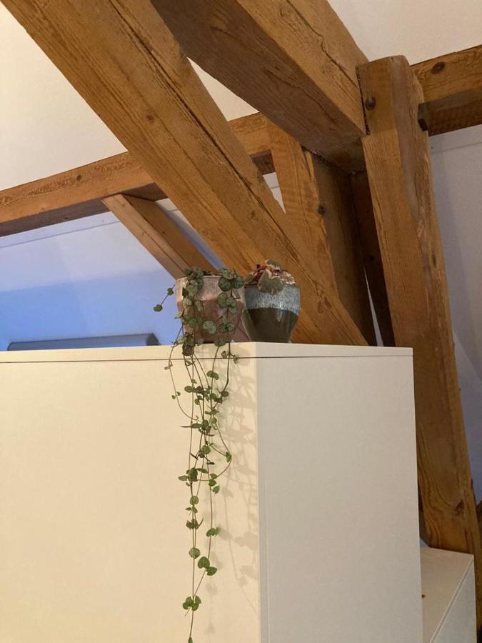 Ferienwohnung Burg Murten Ngoại thất bức ảnh